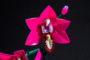 020-2025-09-14 Lego bloemen