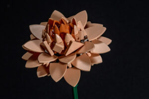 025-2025-09-14 Lego bloemen