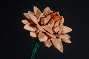026-2025-09-14 Lego bloemen