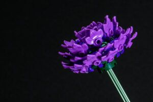 028-2025-09-14 Lego bloemen