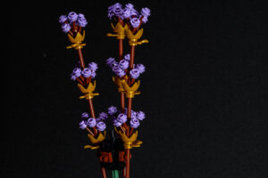 030-2025-09-14 Lego bloemen