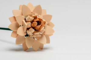 048-2025-09-14 Lego bloemen