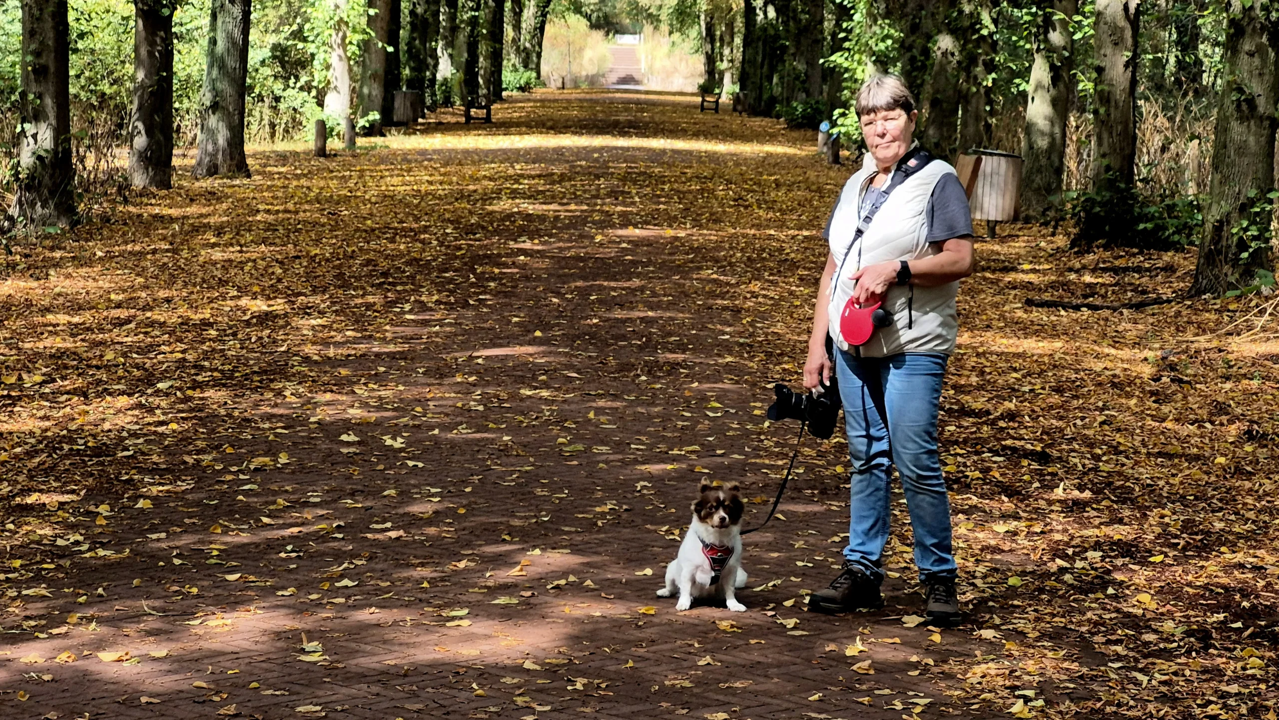 22 augustus en het bos ziet er uit als herfst, dag 2426