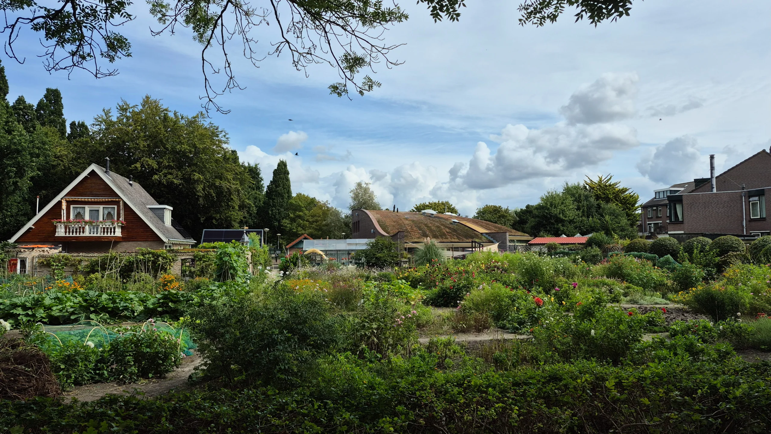 Toch wel uniek een stadsboerderij in Den Haag, dag 2437