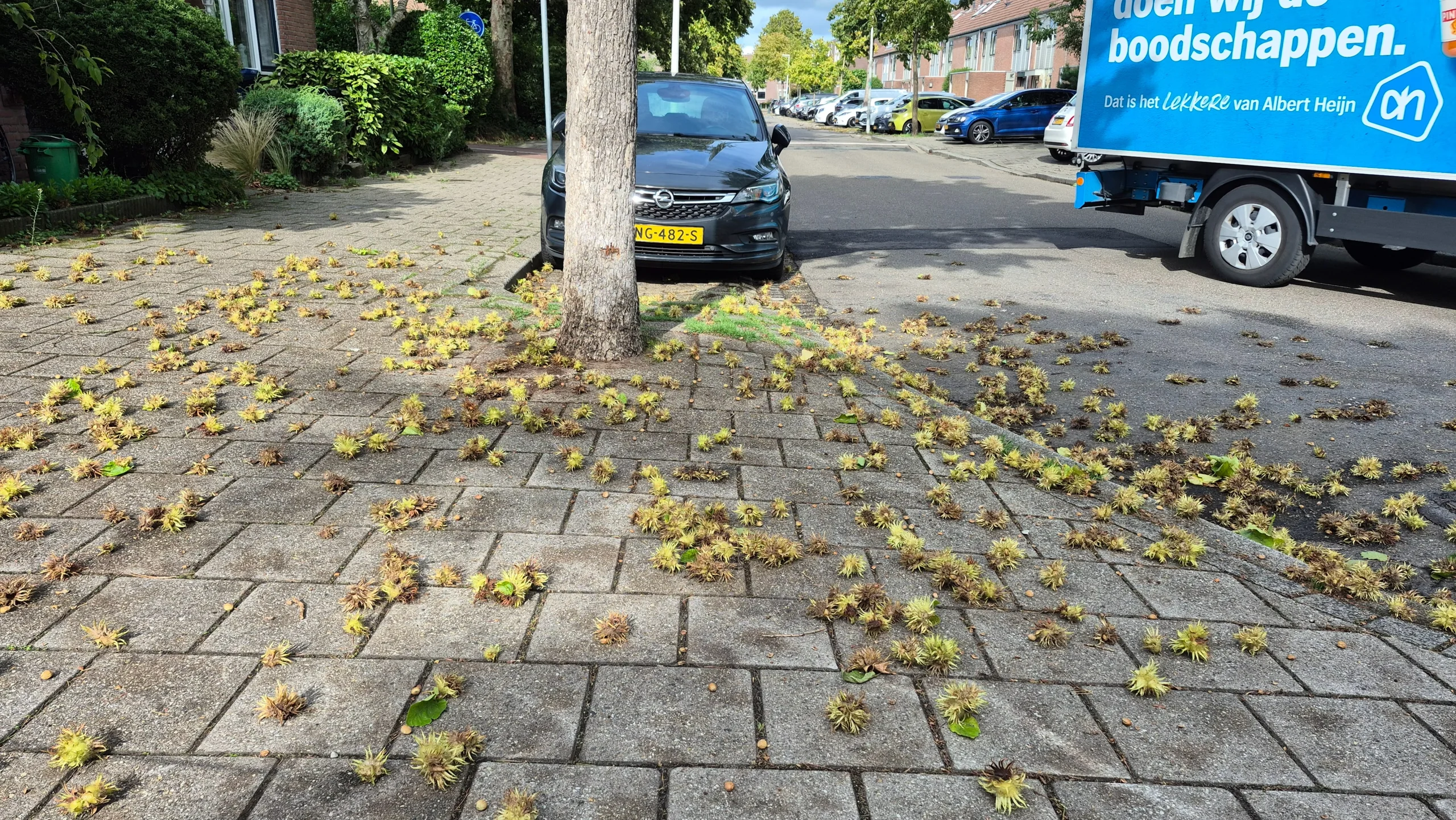 Ben toch blij dat ik daar niet parkeer met die ballen, dag 2439