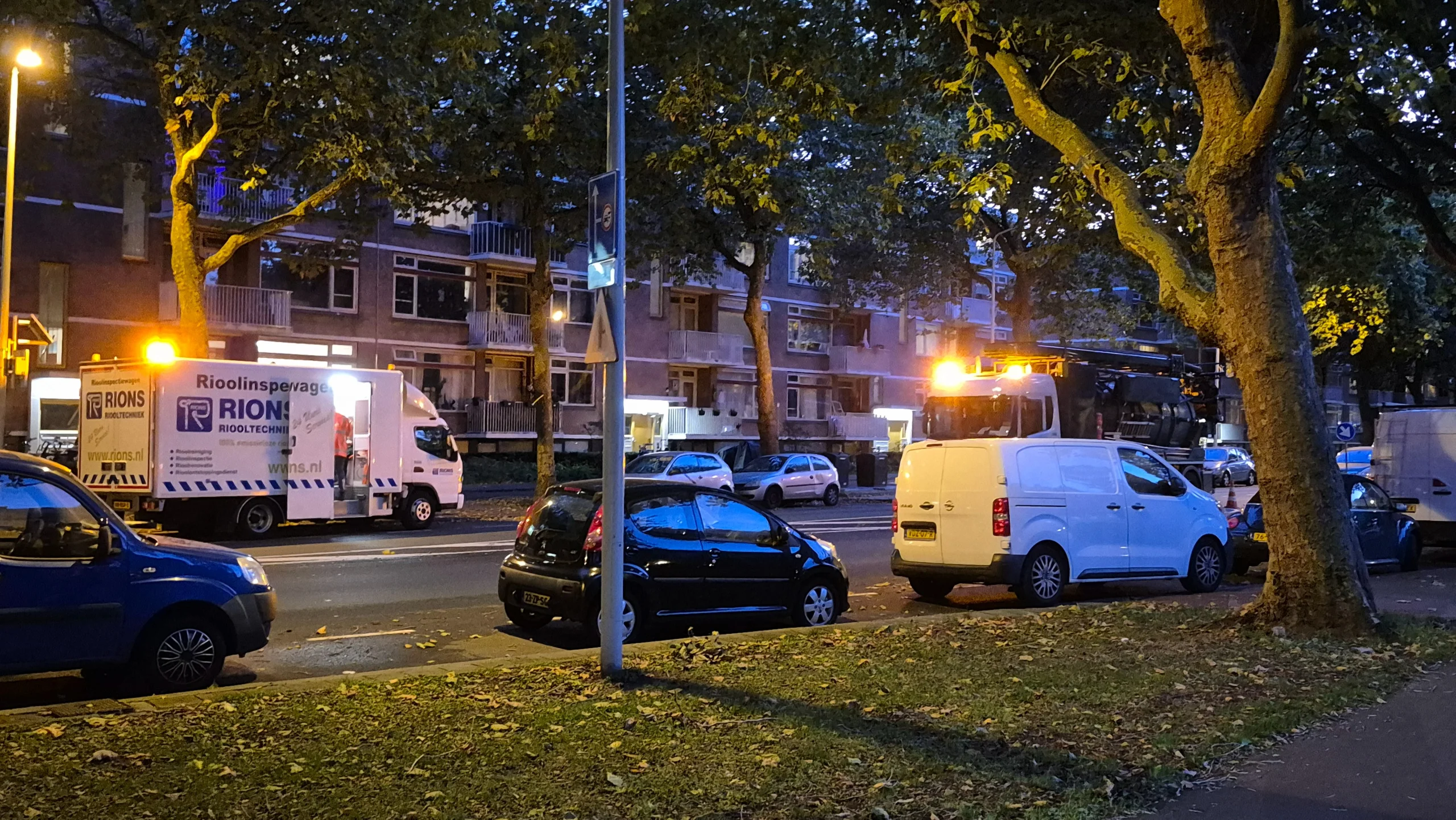 Iemand zal wel zijn trouwring hebben laten vallen, dag 2478