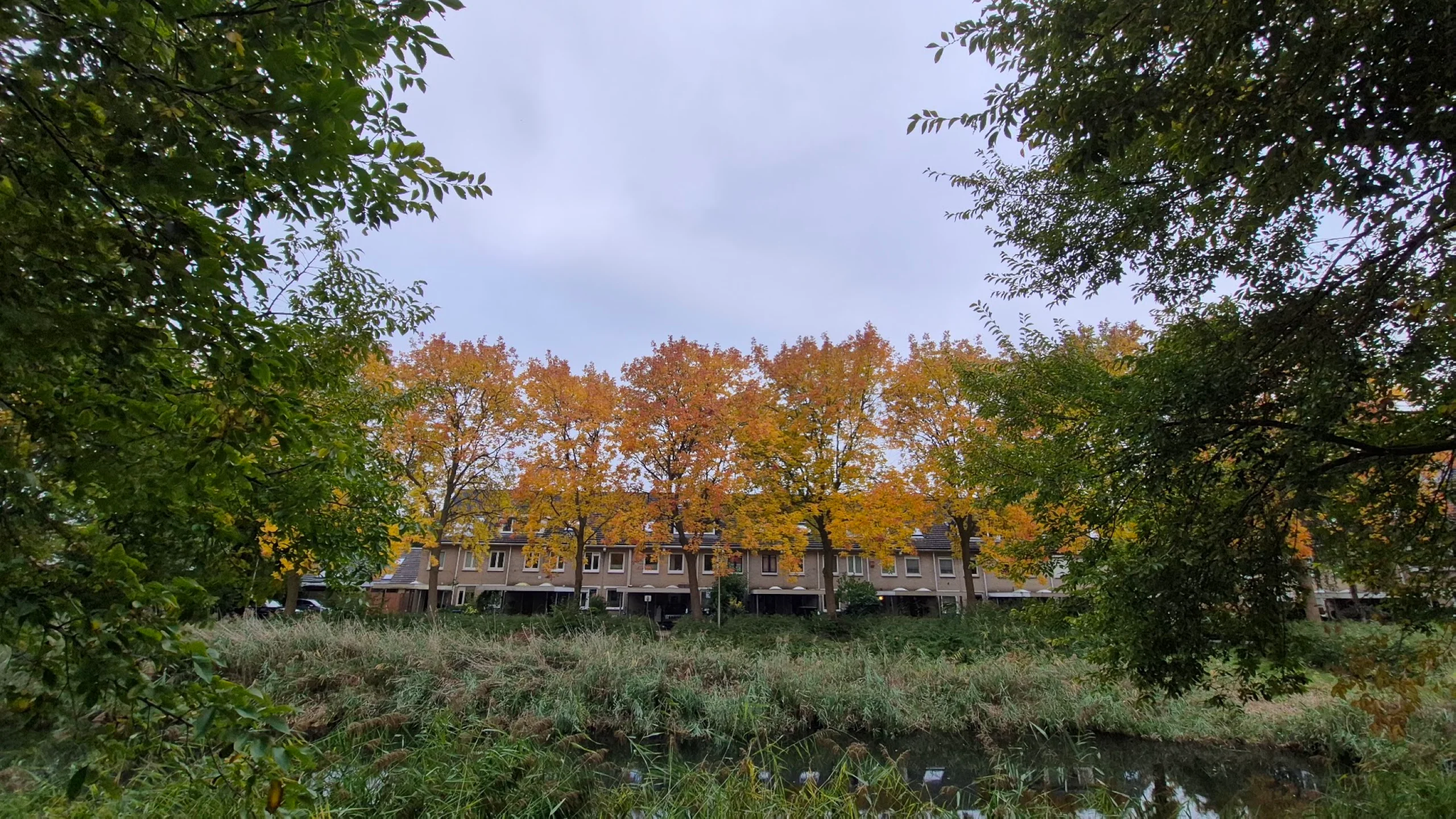Altijd een leuk gezicht die herfst kleuren, dag 2484